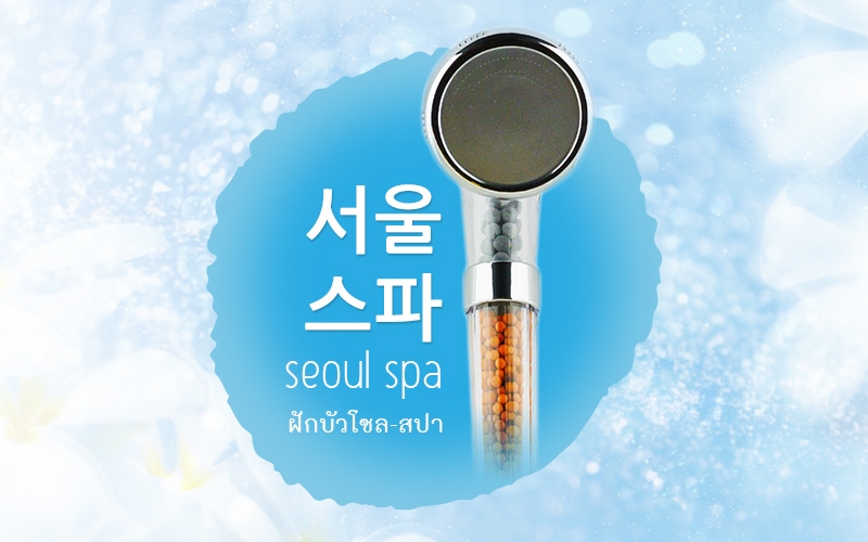 SeoulSpaShower.com