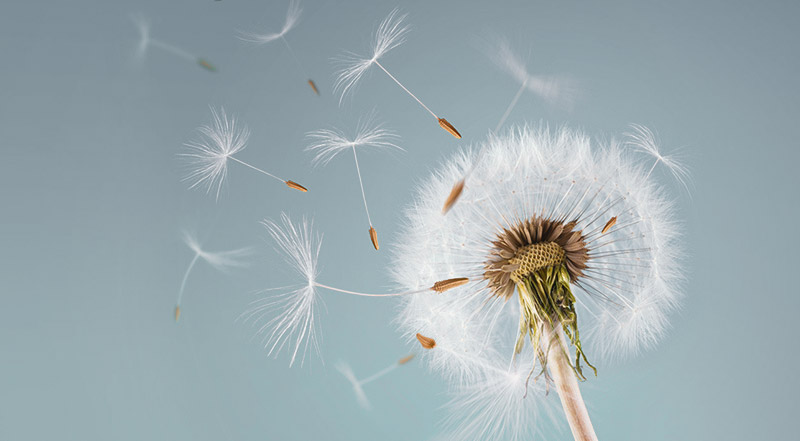 แพคเกจออกแบบและจัดทำเว็บไซต์ สำหรับผู้เริ่มต้นประกอบธุรกิจขนาดเล็ก